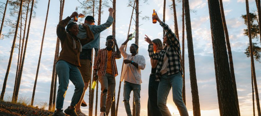 A Dança das Vibrações