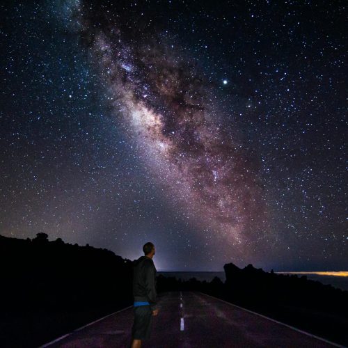 O Universo Projetado