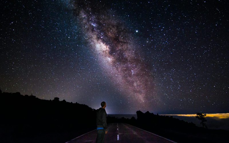 O Universo Projetado