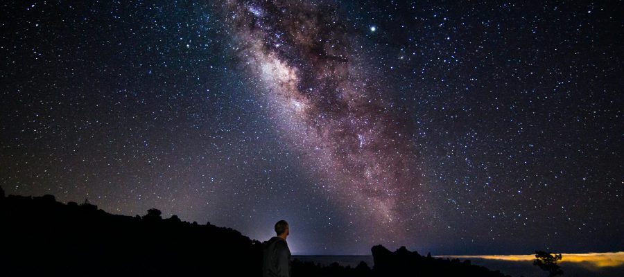 O Universo Projetado